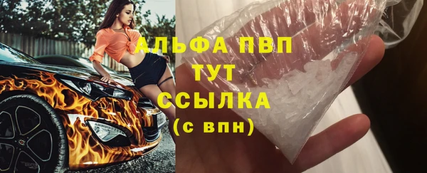 ПСИЛОЦИБИНОВЫЕ ГРИБЫ Белоозёрский