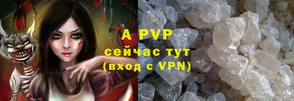 молекула духа Беломорск