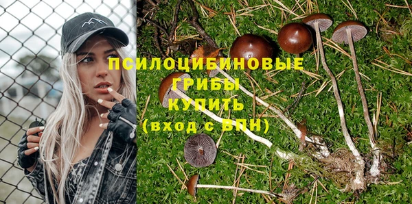 альфа пвп Белокуриха