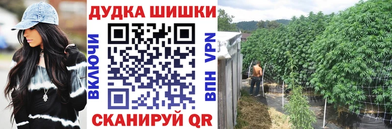 MEGA tor Велиж Канабис сатива